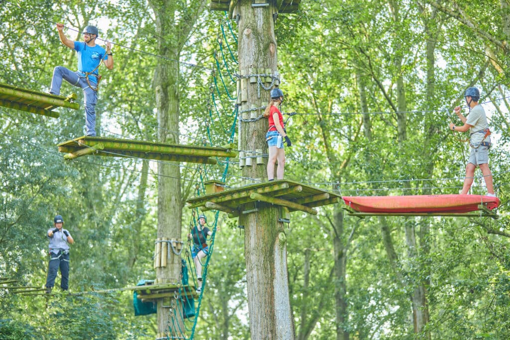 Vijf verschillende klimmers klimmen op verschillende onderdelen richting dezelfde centrale boom.